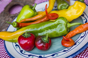 Körners Hofladen-Fotos - Obst und Gemüse